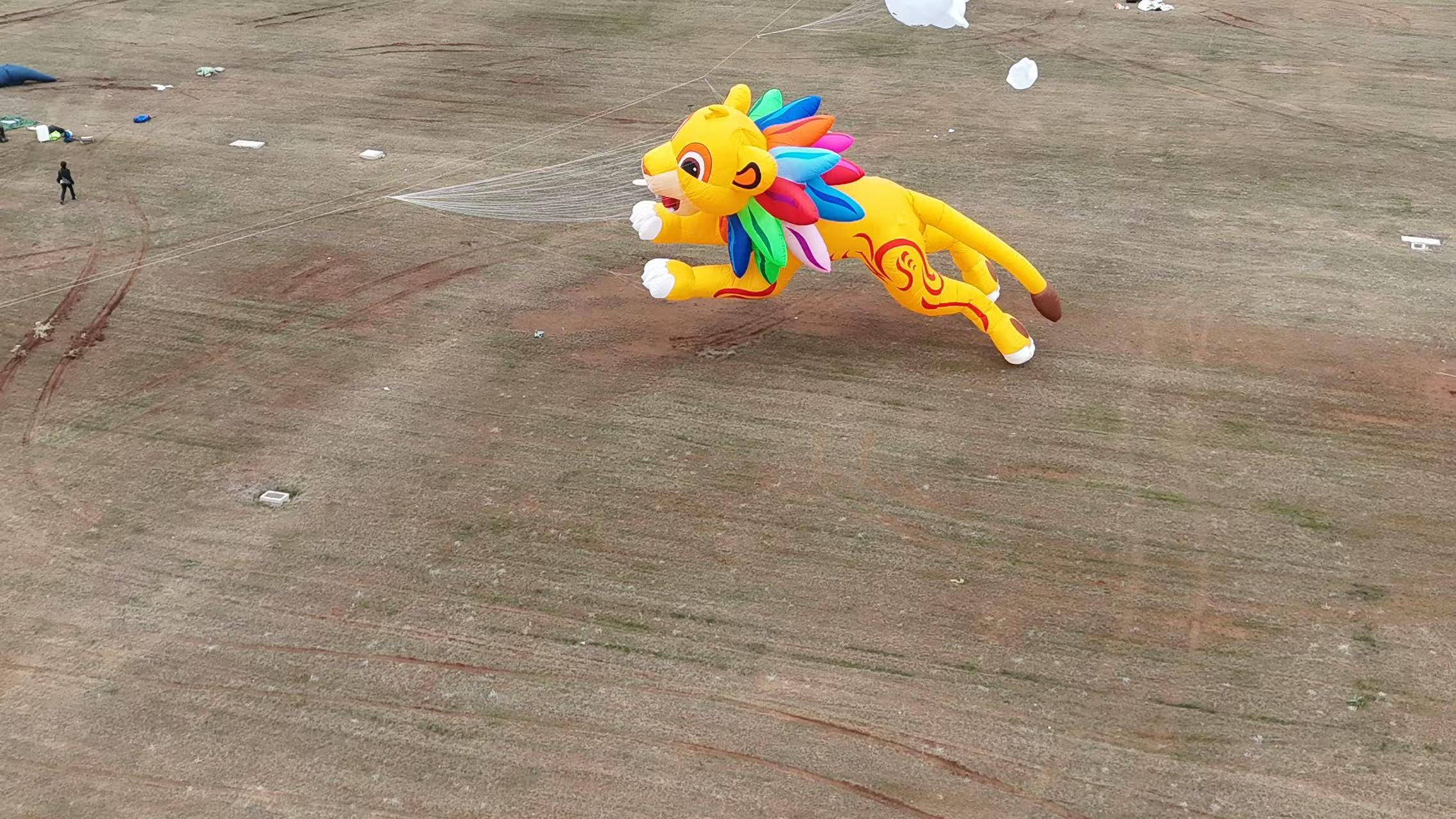 潮州市品牌风筝定制品牌风筝定制 - 排名
